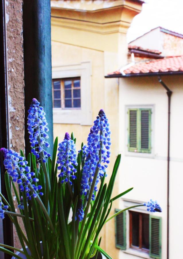 Appartamento In Via San Gallo Florencie Exteriér fotografie